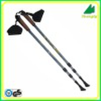 W311-N walking  pole with 3-section telescopic pol