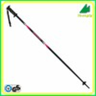 Ski Pole (S118)