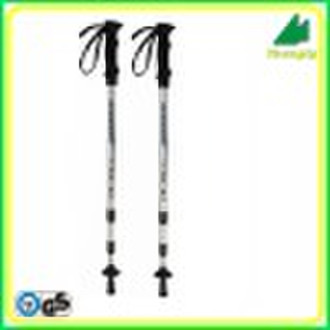W317 trekking  sticks
