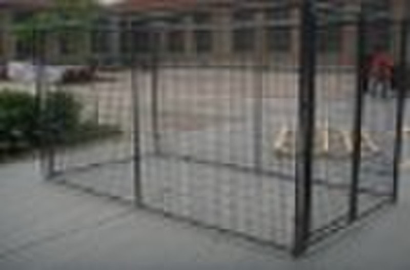 dog  kennel