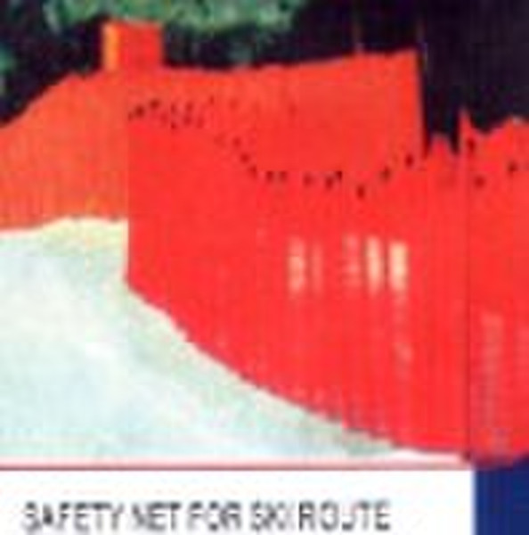 Safety Net for Ski Route