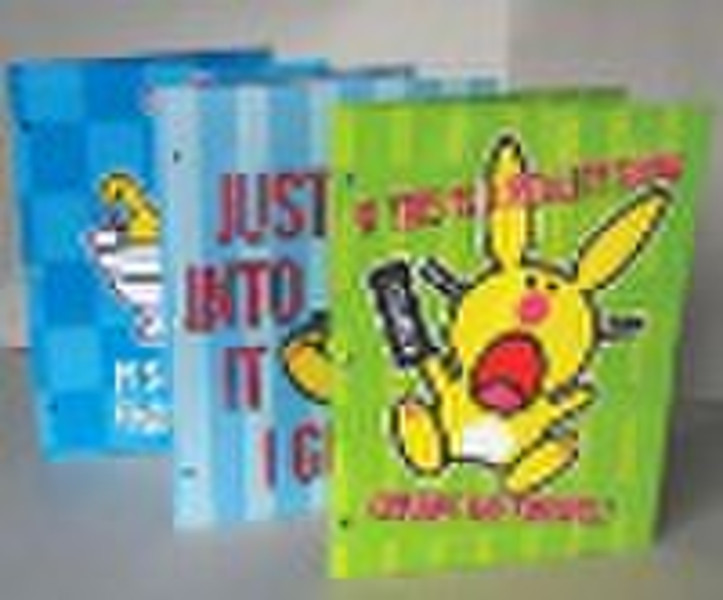 2 pocket file folder