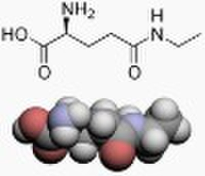 Amino Acid (L-theanine)
