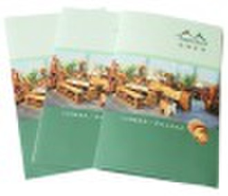 Folded Leaflet House Furnishings Brochure Printing