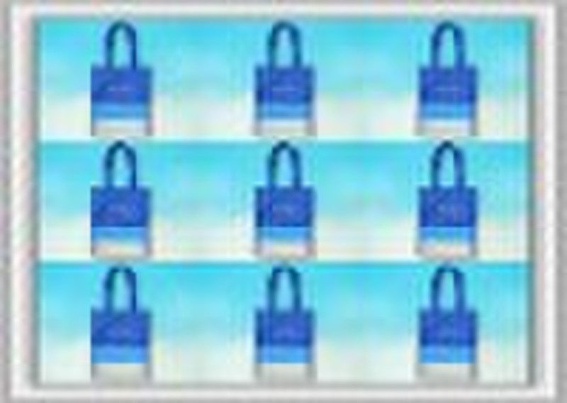 2010 Printed PP non woven bag with laminate