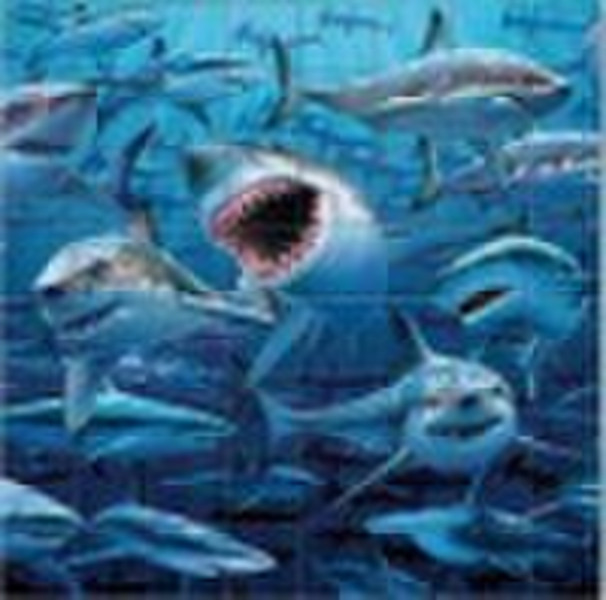 2010 Visual 3D lenticular card