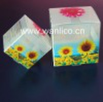 Plastic Packing box