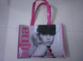 2010 PP non-woven shopping bag/TB0112