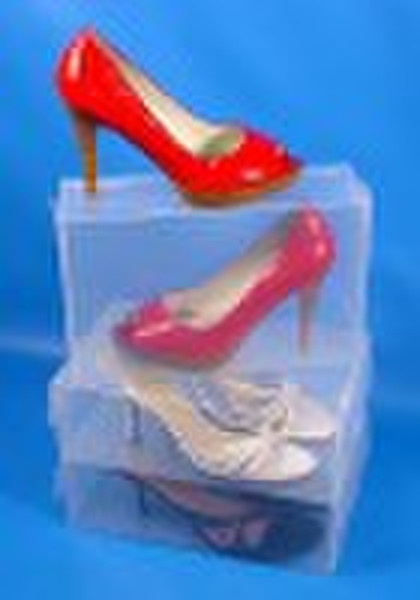 2010 clear shoe box