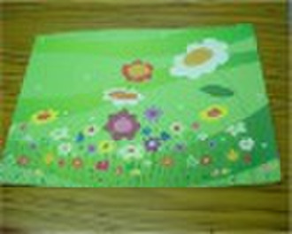 2010 printed pp placemat/printed pp table mat