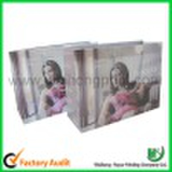 Paper Promotional Bag