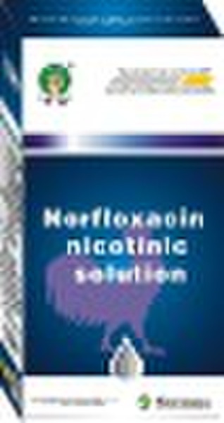 Norfloxacin Nikotinlösung