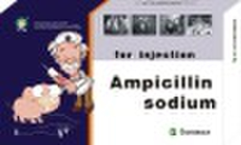 Ampicillin Sodium Injection