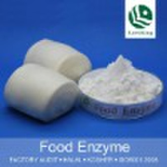 Enzyme Lipase