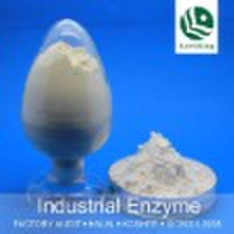 Industrial Enzyme