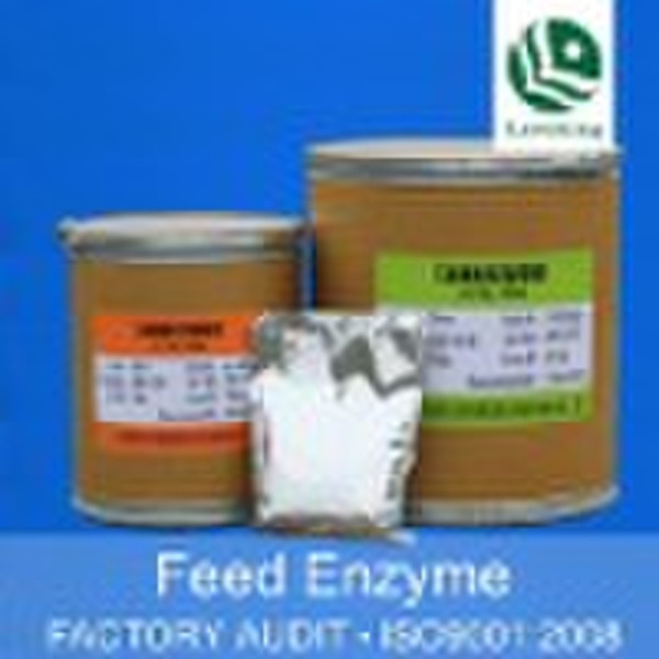 Feed Enzyme