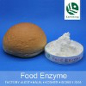 Enzyme LBK-B400