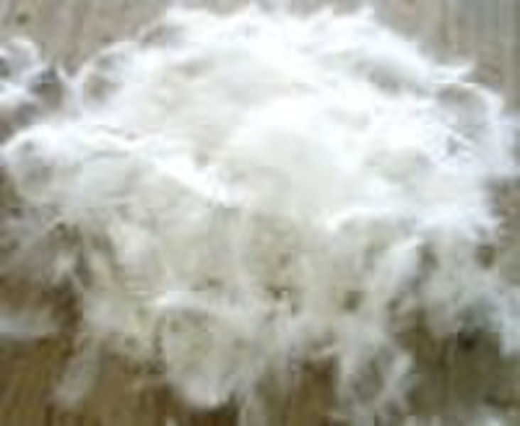 washed white duck feather  2-4 cm