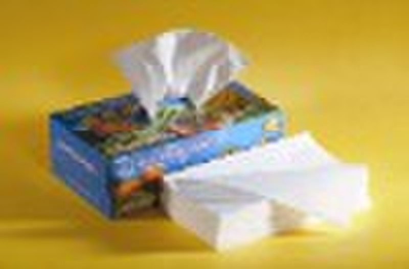 200 Sheets Home Size Box facial tissue