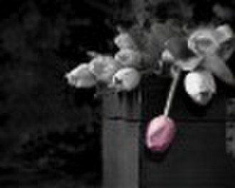 art painting on canvas