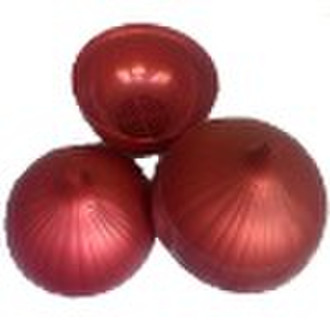 plastic onion box