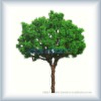 miniature tree/scale model tree