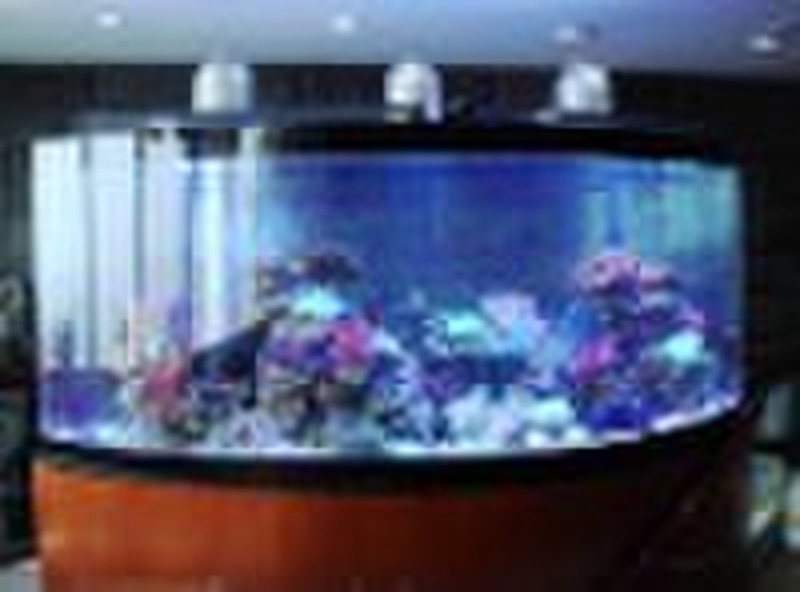 acrylic aquarium,fish tank