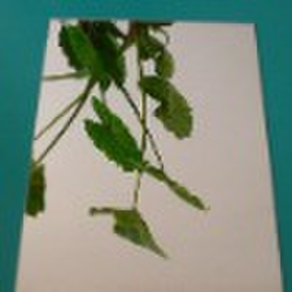 acrylic mirror,plexiglass mirror