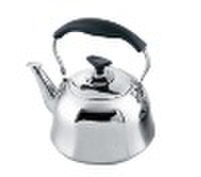 Stainless steel kettle