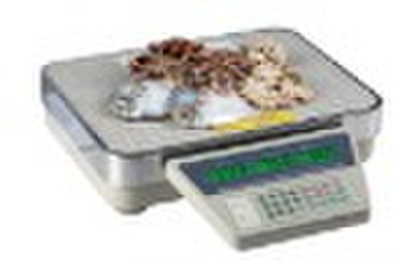 Electronic  scale,