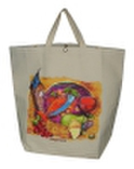 colour canvas bag