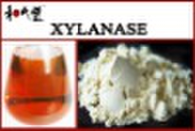 xylanase