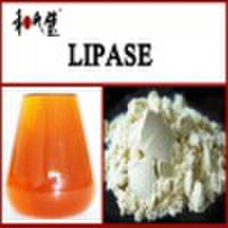 lipase