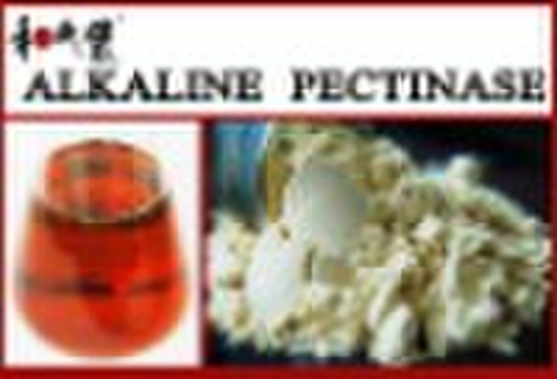 Alkaline pectinase