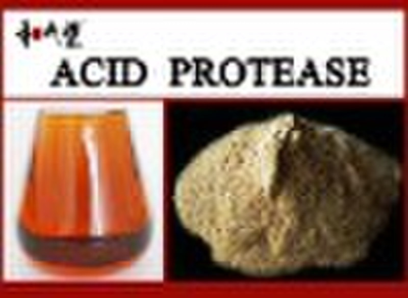 acid protease