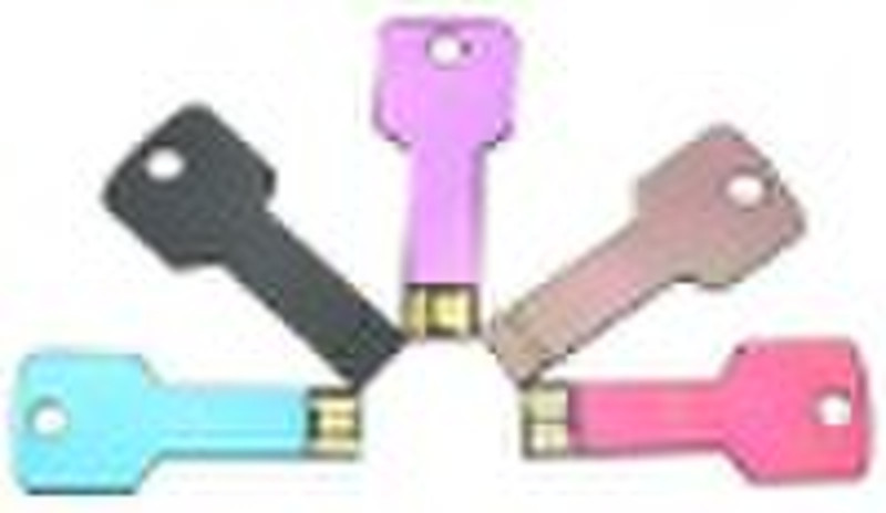 OEM Key Usb Flash Drive