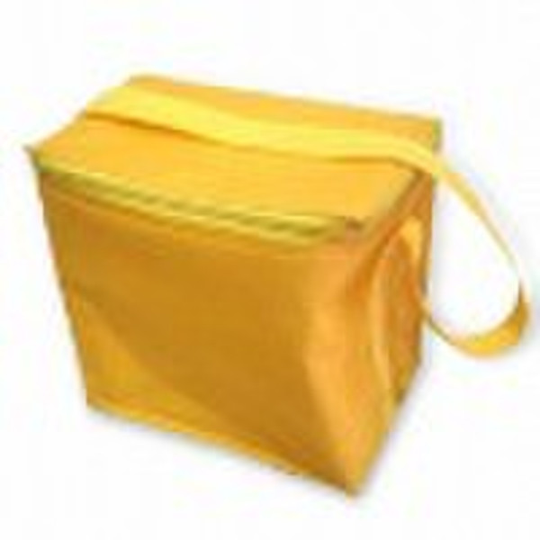 2010 Fridge Bag DFHR-C-5269