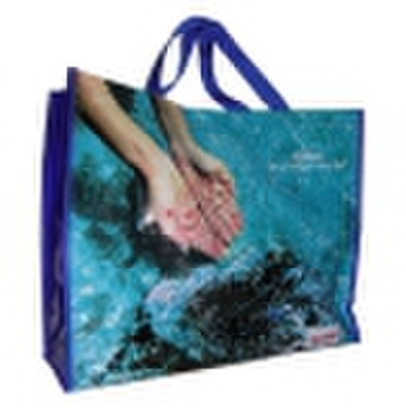 2010 pp woven shopping bag (PN07-PW052)