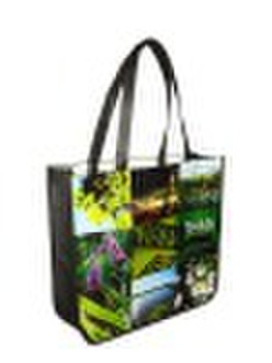 2010 pp nonwoven bag(PN07-PN176)