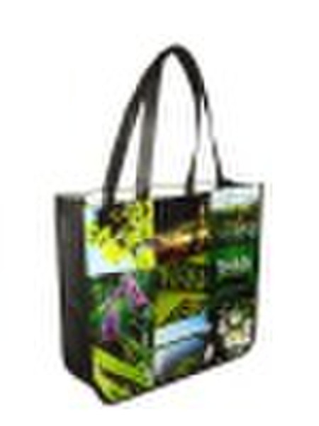 2010 pp nonwoven bag(PN07-PN176)