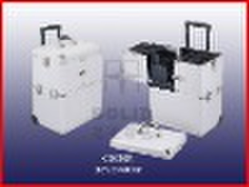 professional cosmetic case