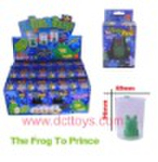 Frog to Prince kids educational toy