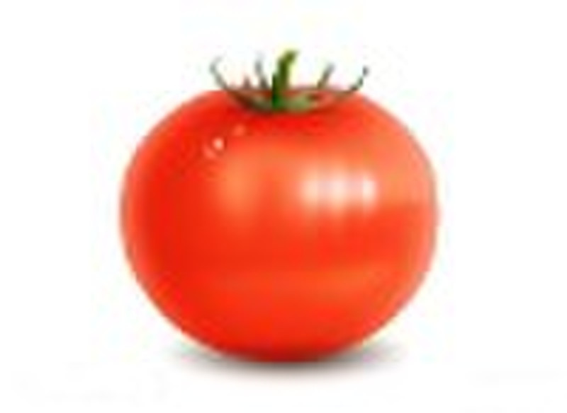 tomato lycopene