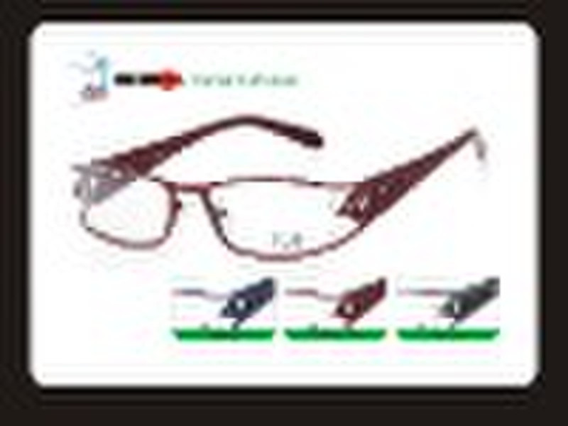 2011 Fashion Optical Glasses