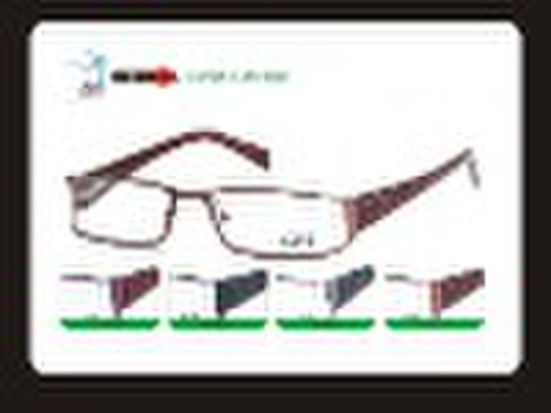 Fashion eyewear  frame