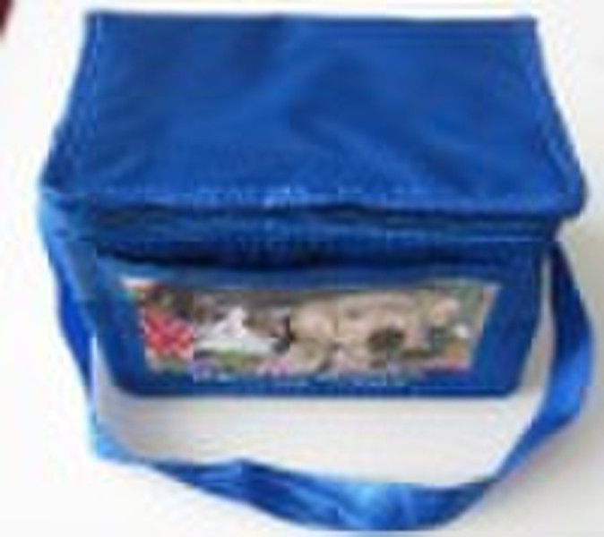 cooler bag,ice bag,cooling bag(NO 002)