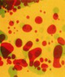 Diacetyl Tartaric Acid Esters of Mono-diglycerides