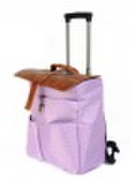 Oxford Fashion Trolley Luggage