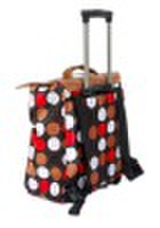 Oxford Fashion Trolley Luggage