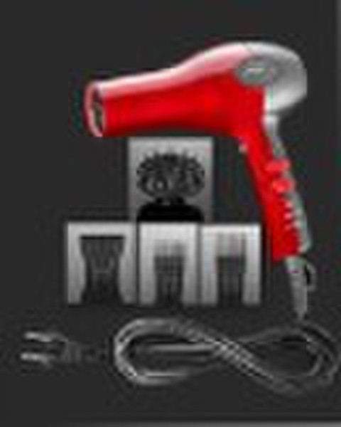 ALS-8302 Professional Hair Dryer